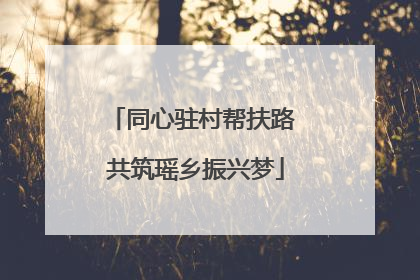 同心驻村帮扶路 共筑瑶乡振兴梦