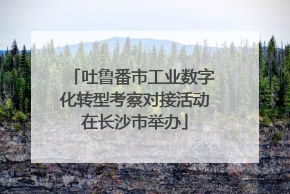 吐鲁番市工业数字化转型考察对接活动在长沙市举办