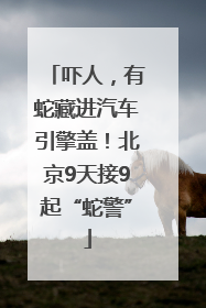 吓人，有蛇藏进汽车引擎盖！北京9天接9起“蛇警”