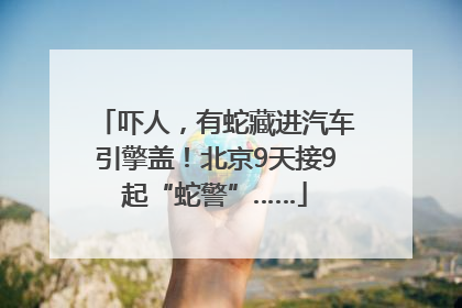 吓人，有蛇藏进汽车引擎盖！北京9天接9起“蛇警”……