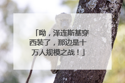 呦，泽连斯基穿西装了，那边是十万人规模之战！