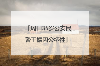 周口35岁公安民警王振因公牺牲