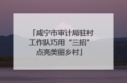 咸宁市审计局驻村工作队巧用“三招”点亮美丽乡村