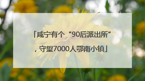 咸宁有个“90后派出所”，守望7000人鄂南小镇