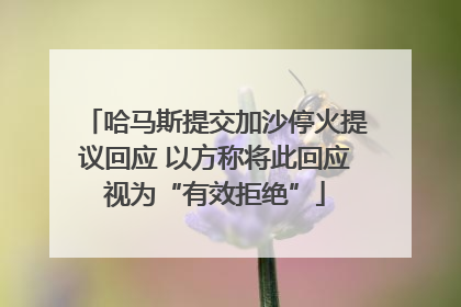 哈马斯提交加沙停火提议回应 以方称将此回应视为“有效拒绝”