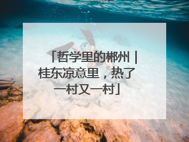 哲学里的郴州｜桂东凉意里，热了一村又一村