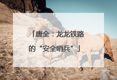 唐全：龙龙铁路的“安全哨兵”