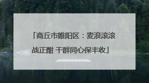 商丘市睢阳区：麦浪滚滚战正酣 干群同心保丰收