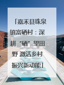 嘉禾县珠泉镇富硒村：深耕“硒”望田野 激活乡村振兴新动能