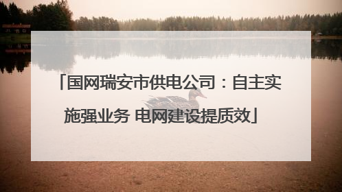 国网瑞安市供电公司：自主实施强业务 电网建设提质效
