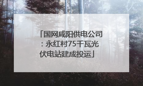 国网咸阳供电公司：永红村75千瓦光伏电站建成投运