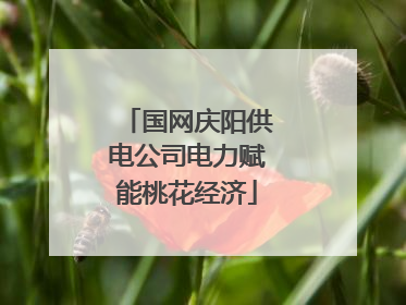 国网庆阳供电公司电力赋能桃花经济