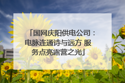 国网庆阳供电公司：电脉连通诗与远方 服务点亮露营之光
