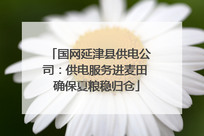 国网延津县供电公司：供电服务进麦田 确保夏粮稳归仓