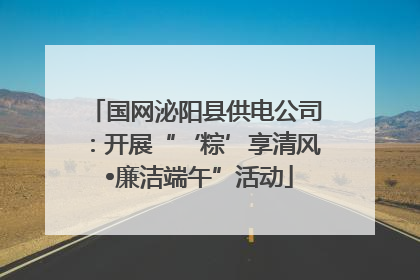 国网泌阳县供电公司：开展“‘粽’享清风 •廉洁端午”活动