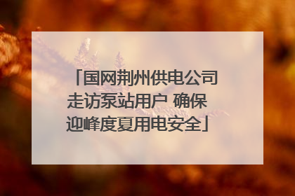 国网荆州供电公司走访泵站用户 确保迎峰度夏用电安全