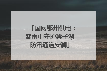 国网鄂州供电：暴雨中守护梁子湖防汛通道安澜