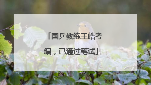 国乒教练王皓考编，已通过笔试