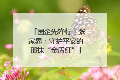 国企先锋行丨张家界：守护平安的那抹“金盾红”
