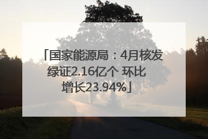 国家能源局：4月核发绿证2.16亿个 环比增长23.94%