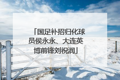 国足补招归化球员侯永永、大连英博前锋刘祝润