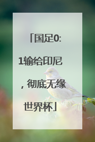 国足0:1输给印尼，彻底无缘世界杯