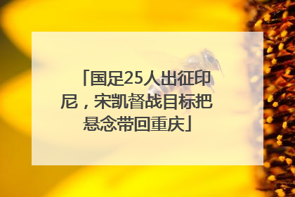 国足25人出征印尼，宋凯督战目标把悬念带回重庆