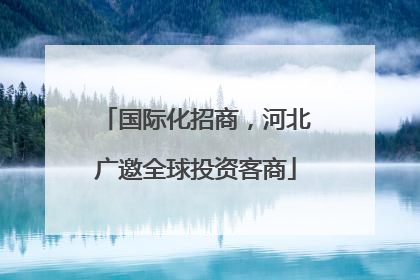 国际化招商，河北广邀全球投资客商