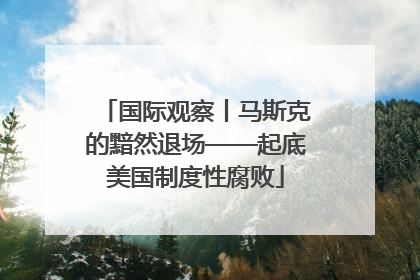 国际观察丨马斯克的黯然退场——起底美国制度性腐败