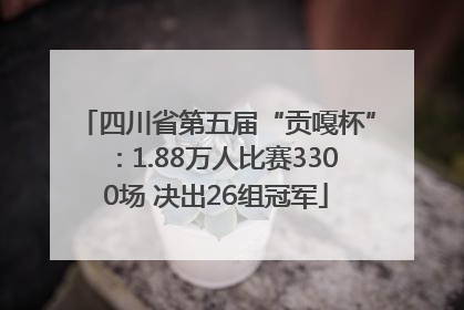 四川省第五届“贡嘎杯”：1.88万人比赛3300场 决出26组冠军