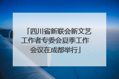四川省新联会新文艺工作者专委会夏季工作会议在成都举行