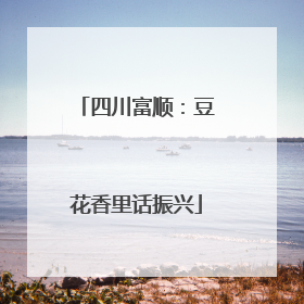 四川富顺：豆花香里话振兴