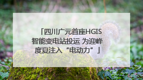 四川广元首座HGIS智能变电站投运 为迎峰度夏注入“电动力”