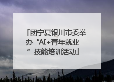 团宁夏银川市委举办“AI+青年就业”技能培训活动