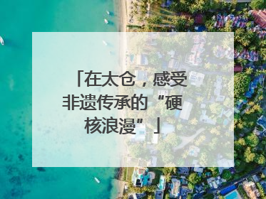 在太仓，感受非遗传承的“硬核浪漫”