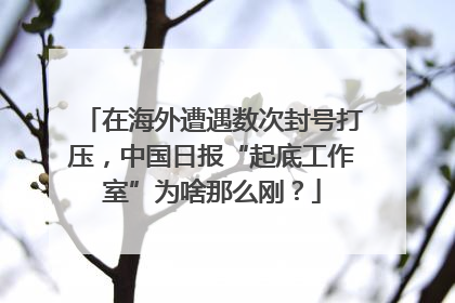 在海外遭遇数次封号打压，中国日报“起底工作室”为啥那么刚？