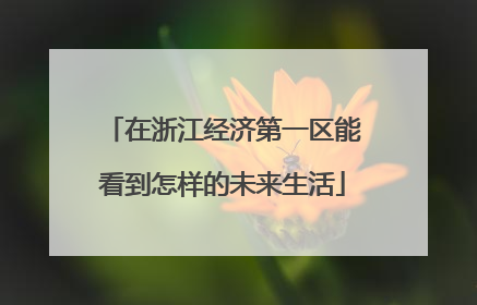 在浙江经济第一区能看到怎样的未来生活