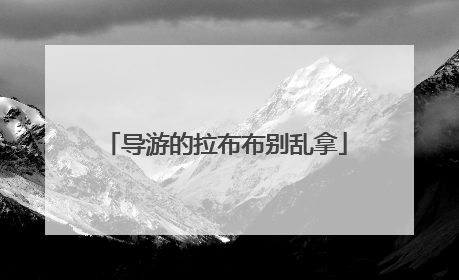导游的拉布布别乱拿