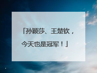 孙颖莎、王楚钦，今天也是冠军！