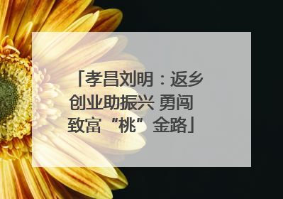 孝昌刘明：返乡创业助振兴 勇闯致富“桃”金路
