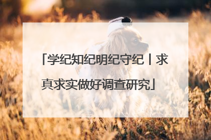 学纪知纪明纪守纪丨求真求实做好调查研究