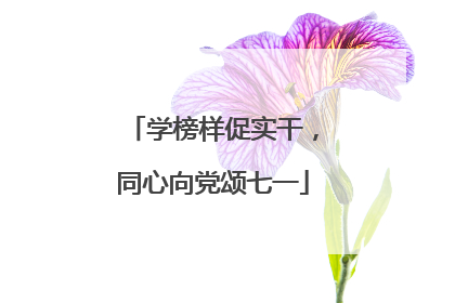 学榜样促实干，同心向党颂七一