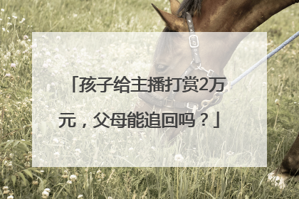 孩子给主播打赏2万元，父母能追回吗？