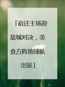 宿迁主场迎盐城对决，美食方阵助球队出征