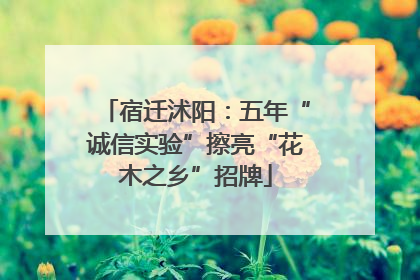 宿迁沭阳：五年“诚信实验”擦亮“花木之乡”招牌