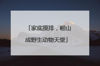 家底摸排，崂山成野生动物天堂