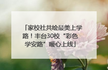 家校社共绘最美上学路！丰台30校“彩色学安路”暖心上线