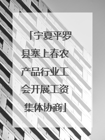 宁夏平罗县塞上春农产品行业工会开展工资集体协商