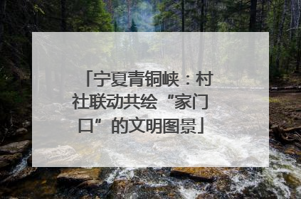 宁夏青铜峡：村社联动共绘“家门口”的文明图景