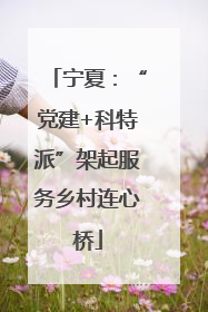 宁夏：“党建+科特派”架起服务乡村连心桥